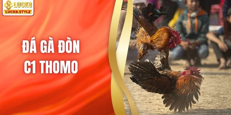 Đá Gà Đòn C1 Thomo - LUCK8 Trực Tiếp Các Màn Đấu Hấp Dẫn